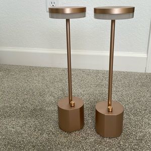 Set of 2 Britier cordless table lamps NWOT